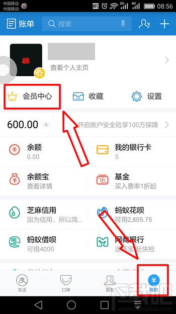 支付寶螞蟻積分在哪里看 螞蟻積分怎么提升