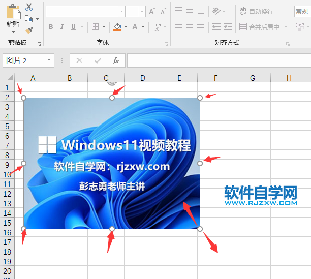excel2019里面的圖片怎么調(diào)大小