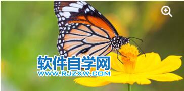 PS柵格圖像是什么意思？