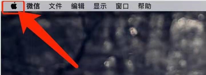 電腦macOS系統顯卡怎么看