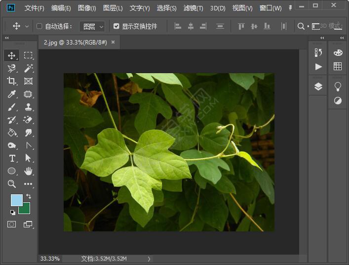 如何ps把圖片調成想要的尺寸
