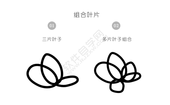 ai怎么畫多肉植物插畫
