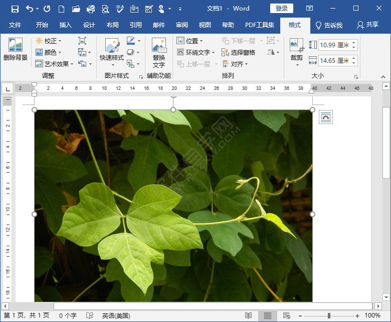 word中圖片高度寬度怎么設置