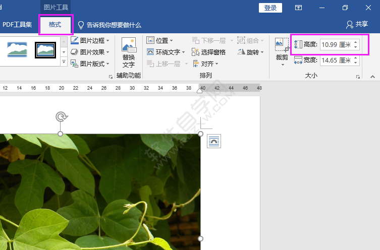 word中圖片高度寬度怎么設置
