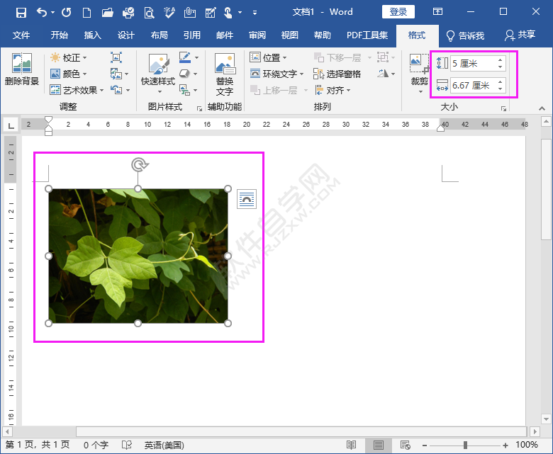 word中圖片高度寬度怎么設置