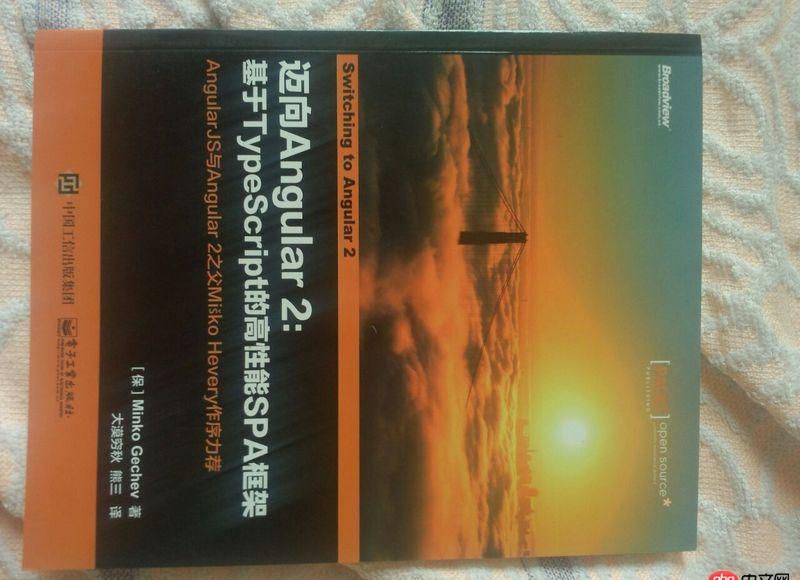 angular.js - 有沒(méi)有不需要先git clone xxxx的angular2的教程？