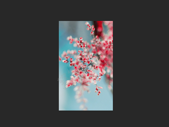 ps應用畫布大小命令裁剪照片