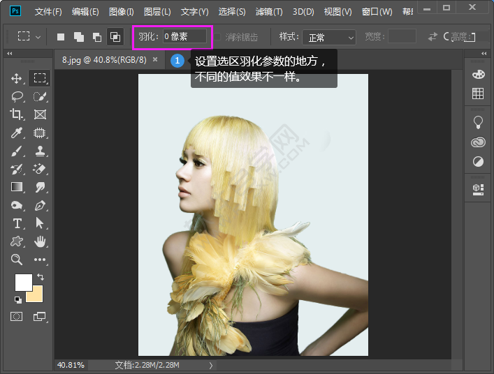 ps設(shè)置選區(qū)羽化的方法