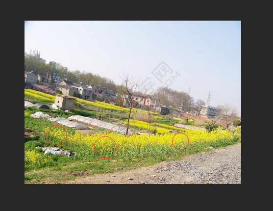 ps中加深工具怎么沒反應