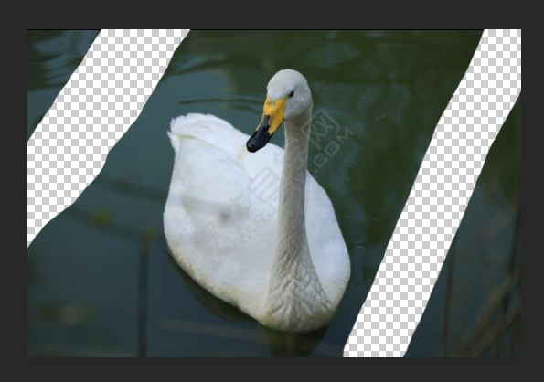 ps橡皮擦怎么調大小