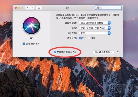 macOS系統禁止在桌面右上角顯示Siri圖標的方法