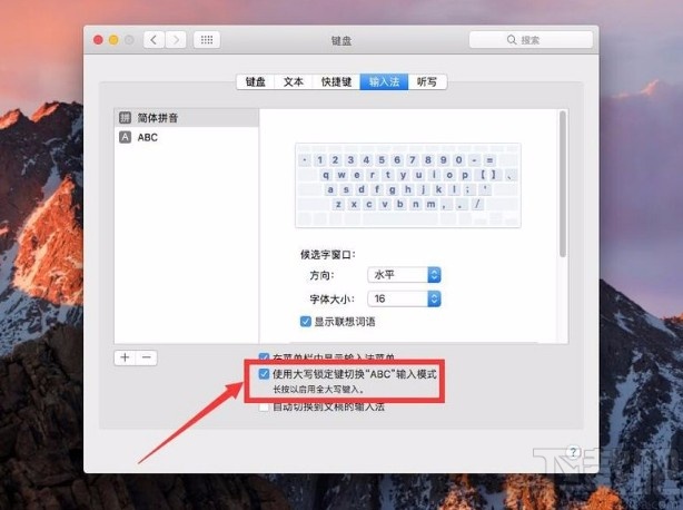 macOS系統(tǒng)解決CapsLock鍵不能鎖定大小寫的方法