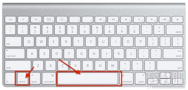 macOS怎么強制退出應用程序？macOS強制退出應用程序方法教程