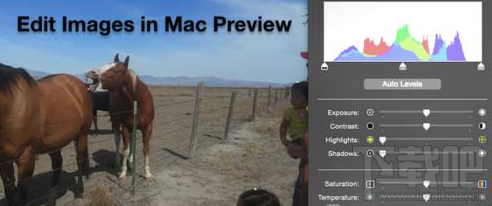 mac系統怎么修改預覽圖片顏色？mac系統修改預覽圖片教程