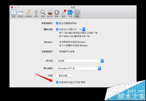 MAC系統中怎么開啟Safari開發者模式？