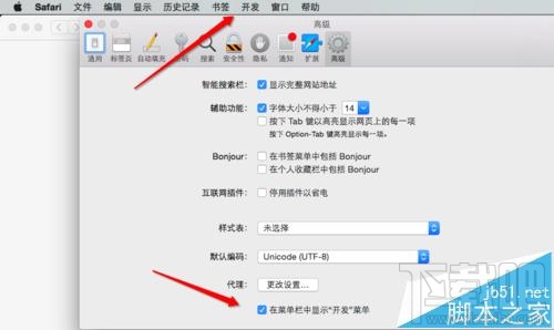 MAC系統中怎么開啟Safari開發者模式？