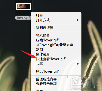 Mac怎么查看gif圖片？Mac系統怎么查看gif圖片？