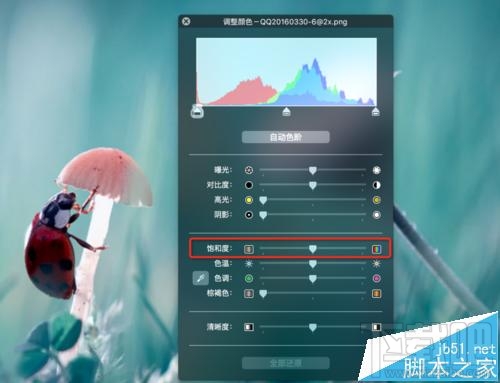 mac系統中怎么用自帶的預覽工具將圖片變成黑白色？