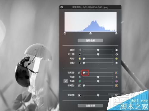 mac系統中怎么用自帶的預覽工具將圖片變成黑白色？