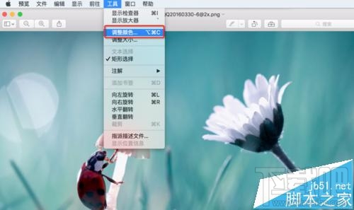 mac系統中怎么用自帶的預覽工具將圖片變成黑白色？