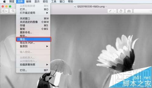 mac系統中怎么用自帶的預覽工具將圖片變成黑白色？