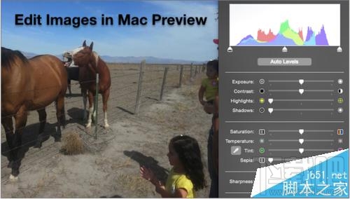 mac系統怎么修改預覽圖片顏色？