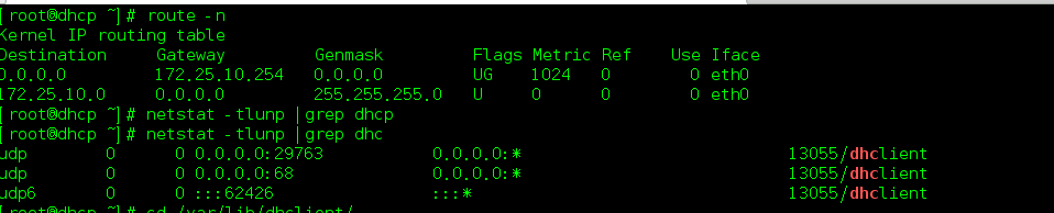 Linux實現(xiàn)DHCP服務(wù)器的搭建