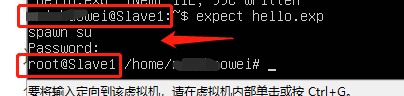 linux自動(dòng)化交互腳本expect詳解