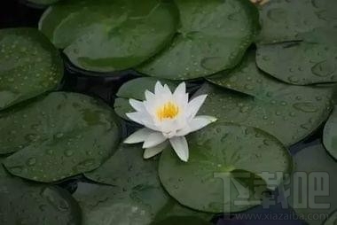 snapseed怎么修圖教程，snapseed手機版使用教程