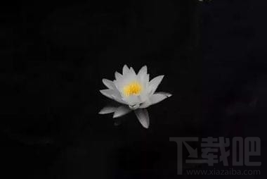 snapseed怎么修圖教程，snapseed手機版使用教程