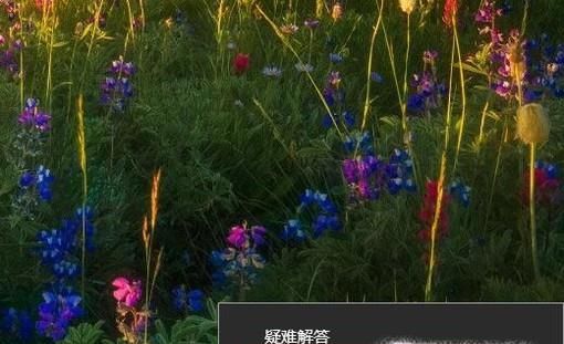 Win10連不上無線網wifi了怎么辦