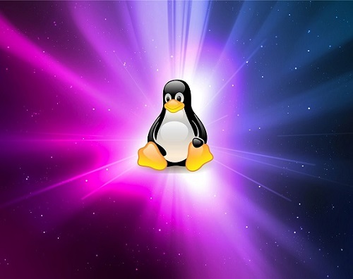 適合新手用的linux版本