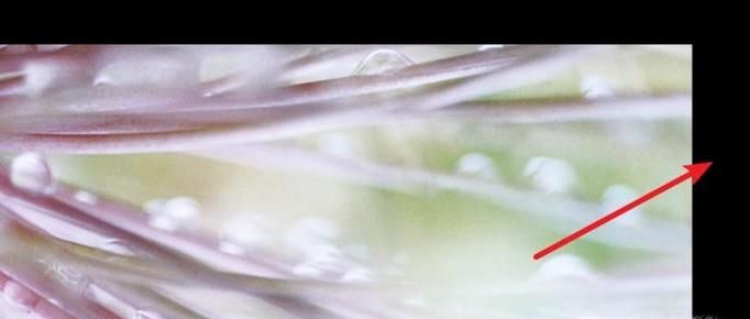 win7桌面背景如何設置居中填充拉伸平鋪適應