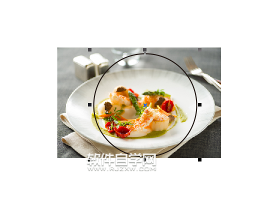 cdr怎么裁剪圓形圖片