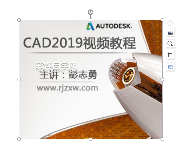 wps怎么調整照片大小