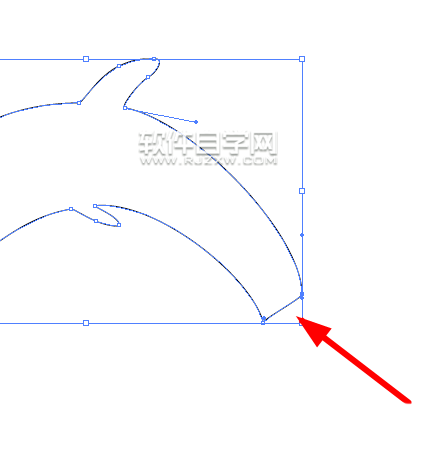 ai怎么畫一只海豚