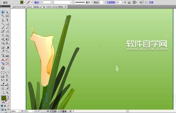 ai怎么畫(huà)馬蹄蓮花束圖片