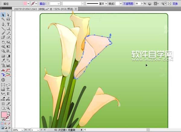 ai怎么畫(huà)馬蹄蓮花束圖片