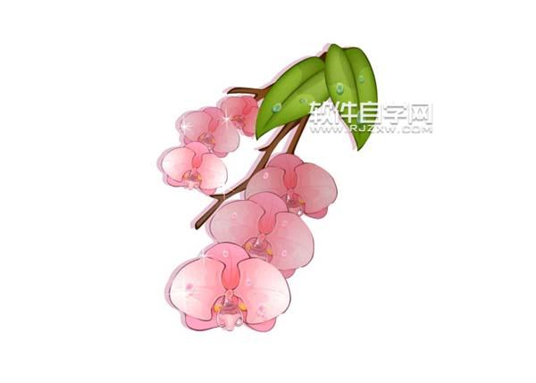 ai怎么畫蝴蝶蘭素材