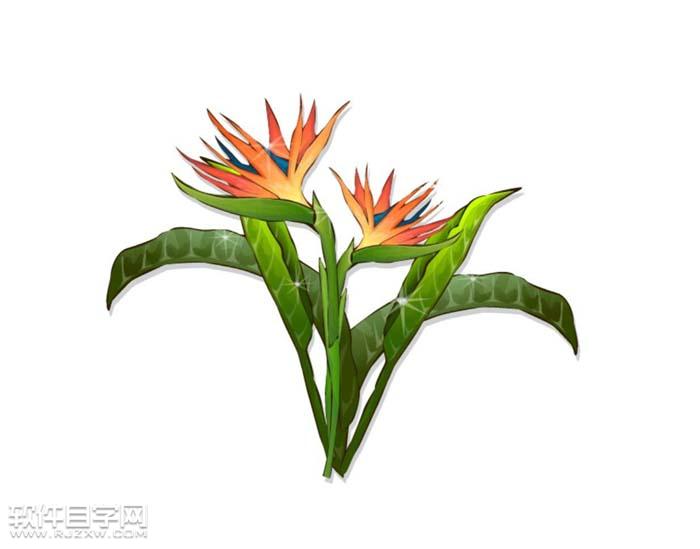 ai怎么繪制天堂鳥花