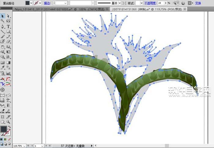 ai怎么繪制天堂鳥花