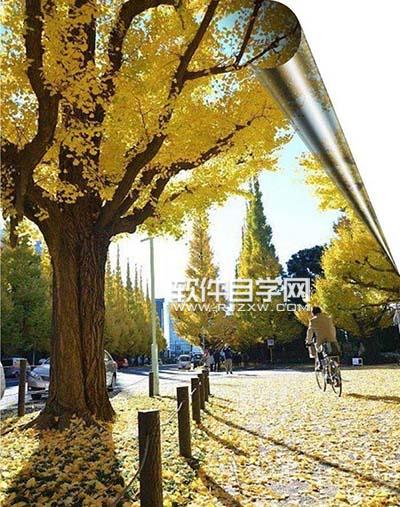 CDR怎么給圖片進行卷邊效果