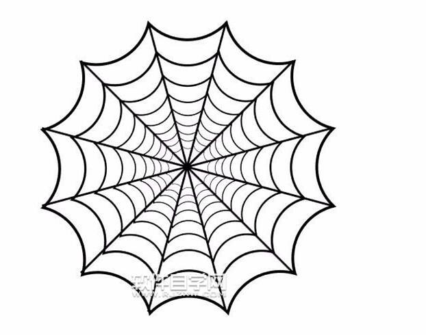 AI怎么繪制蜘蛛網？