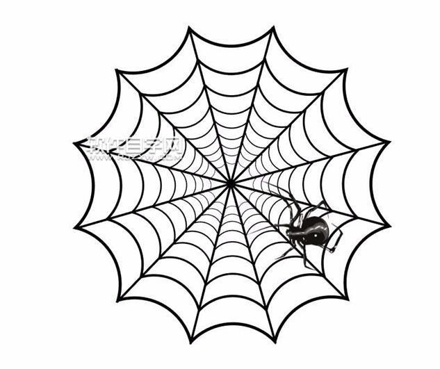 AI怎么繪制蜘蛛網？