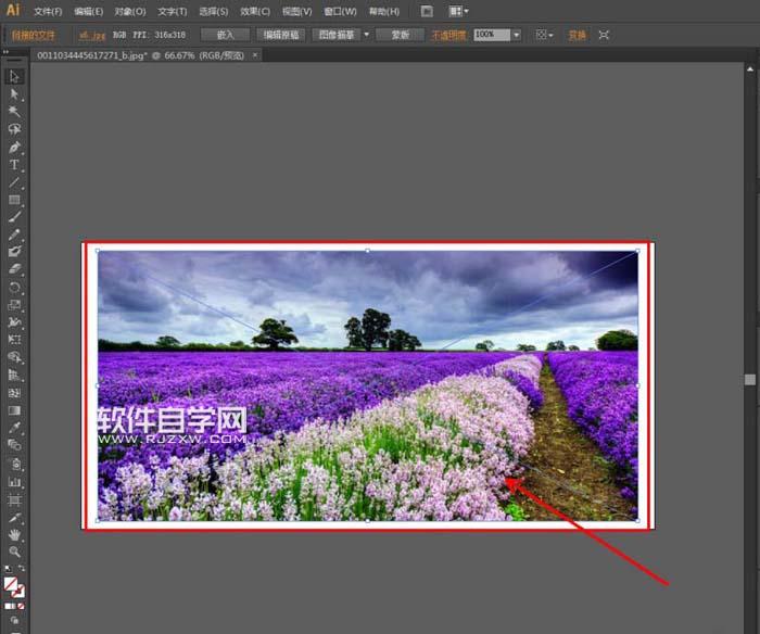 ai怎么扭曲圖片