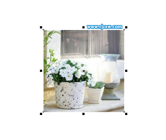 CDRX7怎么導(dǎo)入圖片或是插入圖片