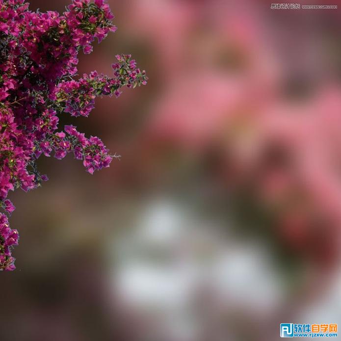 PS制作唯美蝴蝶仙子藝術圖片