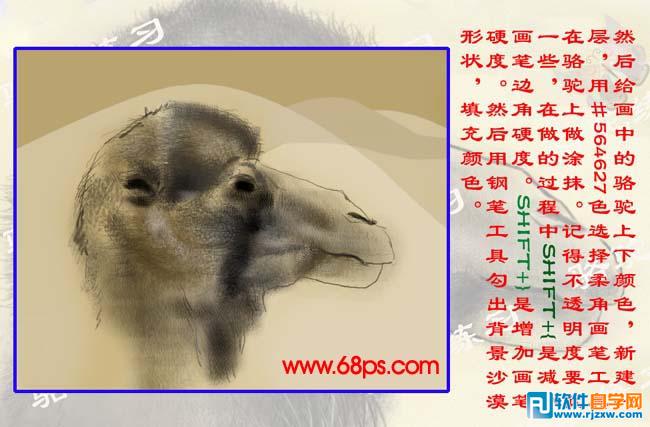 PS繪制沙漠駱駝插畫