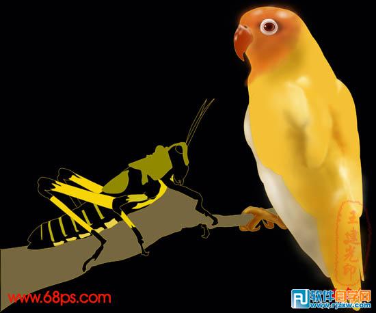 超強PS鼠繪鸚鵡和蝗蟲