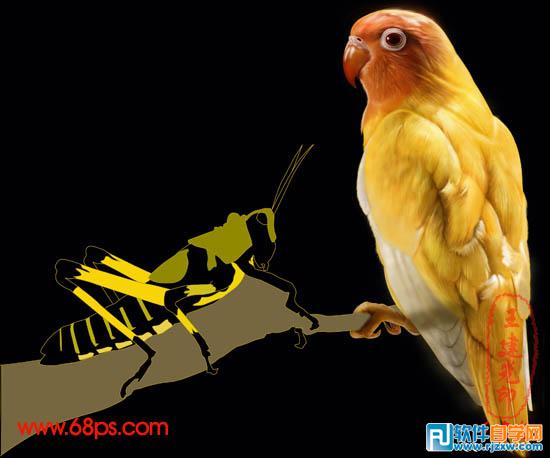 超強PS鼠繪鸚鵡和蝗蟲